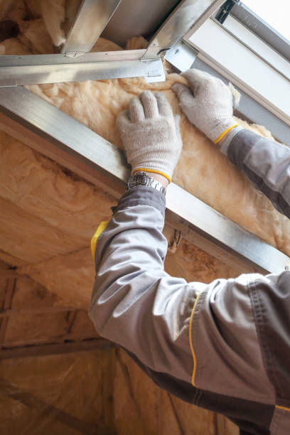 Best Insulation Repair Services  in Basin, WY
