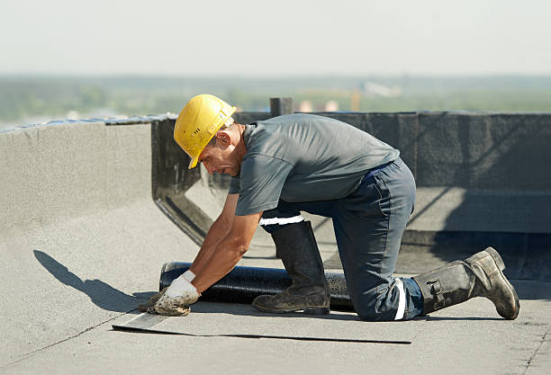 Best Soundproof Insulation Installation  in Basin, WY